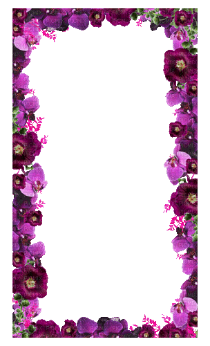 hoa f2a - Nemokamas animacinis gif