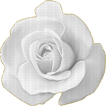 VanessaValo_crea=white rose glitter - Free animated GIF
