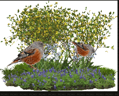 Verdure et oiseaux - GIF animado grátis