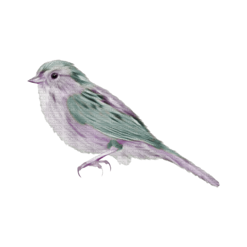 kikkapink deco scrap bird fantasy purple teal - zdarma png