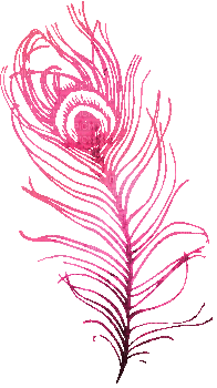 soave deco peacock feathers animated pink - GIF animate gratis