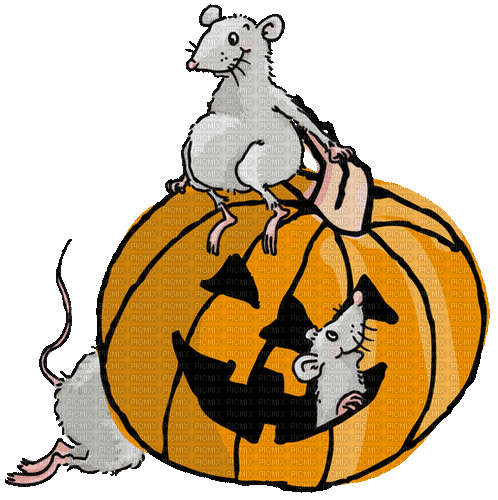 Halloween.Pumpkin.Mice.gif.Victoriabea - GIF animé gratuit
