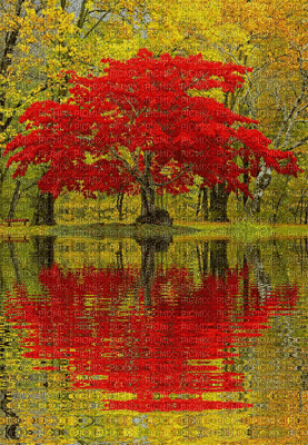 multicolore art image  color kaléidoscope  effet encre gif edited by me - Безплатен анимиран GIF