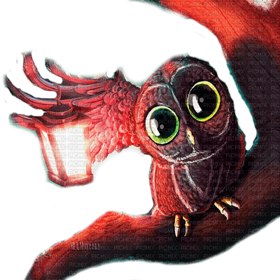 Y.A.M._Fantasy bird owl - безплатен png