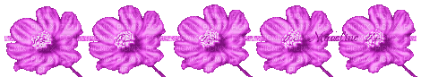 Blumen, Flowers - Zdarma animovaný GIF