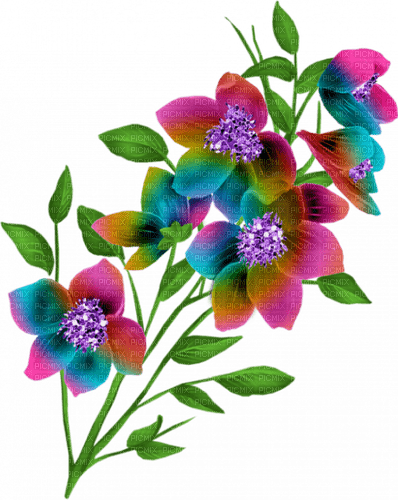 Flowers - 無料png