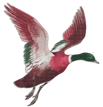 soave deco autumn bird duck vintage pink green - δωρεάν png
