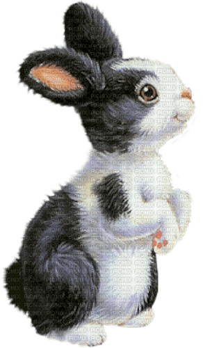 bunny spring easter - PNG gratuit