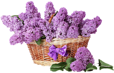 fleur violette.Cheyenne63 - Darmowy animowany GIF