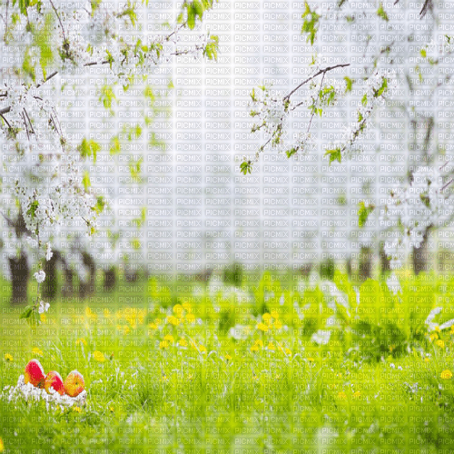 Y.A.M._Spring background - δωρεάν png