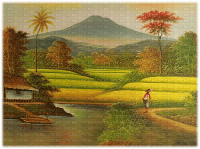 landscape, paddy field - фрее пнг