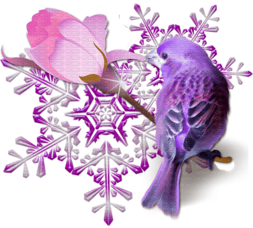 Bird Star Rose Pink Violet Winter - Bogusia - PNG gratuit