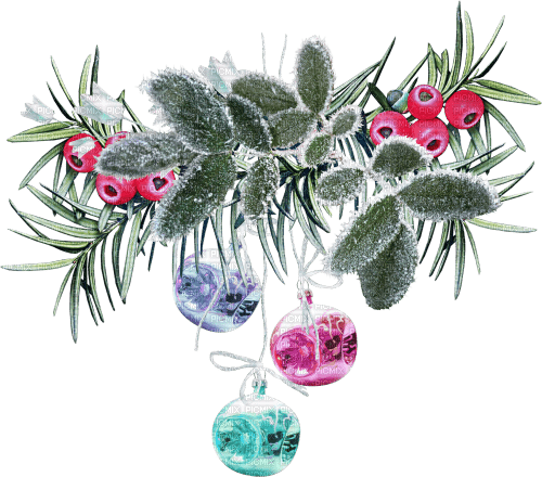 christmas winter cluster - png ฟรี