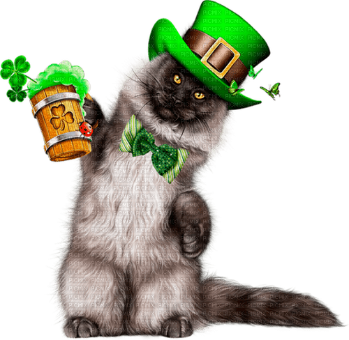 st. Patrick cat by nataliplus - kostenlos png