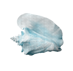 shellfish deco - 免费动画 GIF