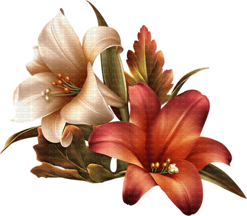 blommor--flowers - kostenlos png