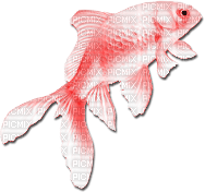 soave deco summer fish scrap orange pink - PNG gratuit