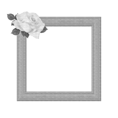 Small White Frame - 免费PNG