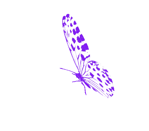 Schmetterling - Бесплатный анимированный гифка