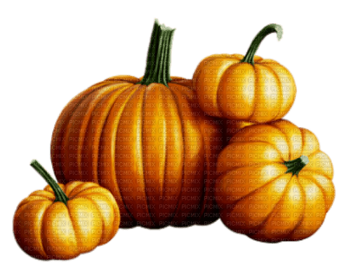 pumpkin Bb2 - бесплатно png