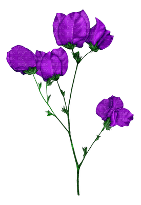 Kaz_Creations Deco Flowers Colours - бесплатно png
