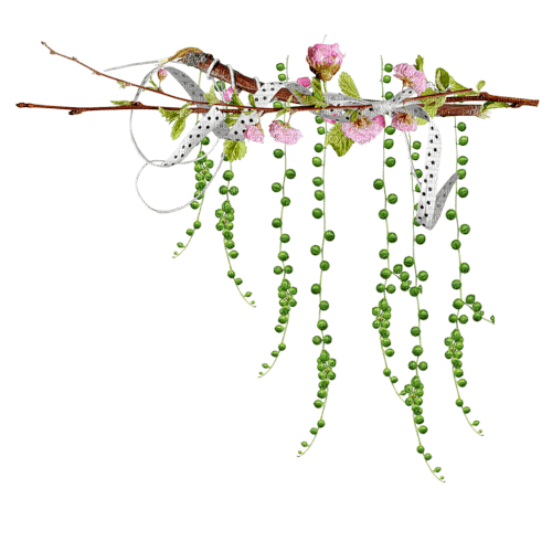 dolceluna branch flowers spring - PNG gratuit