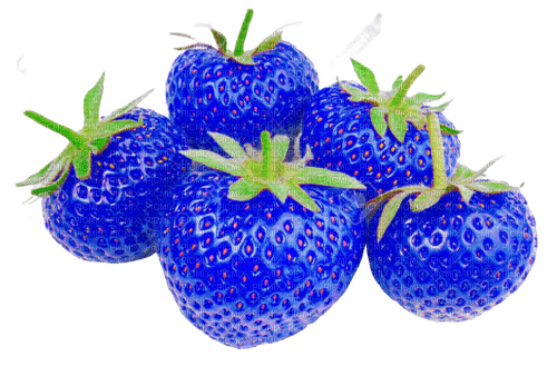 flower,fruit, strawberry - zdarma png