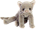 Beanie Cat 3 - Gratis geanimeerde GIF