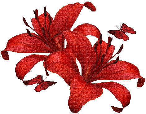 Blumen, Schmetterlinge - Безплатен анимиран GIF