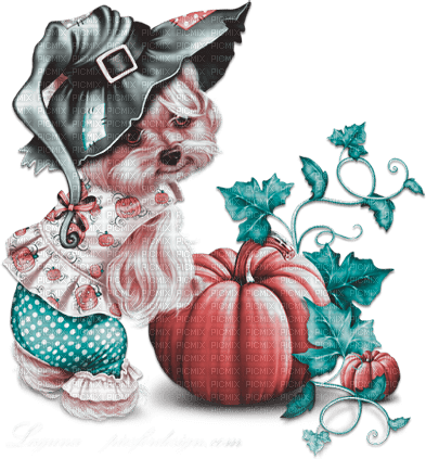 soave dog pumpkin halloween witch animals - zdarma png