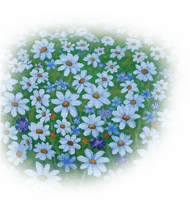 daisy flower landscape paysage - gratis png