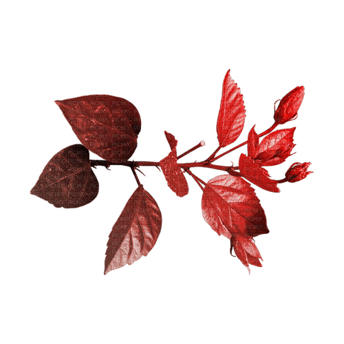 kikkapink deco scrap red leaf leaves - безплатен png