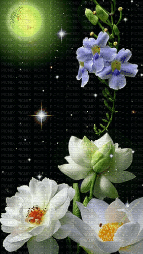 Flowers - Бесплатни анимирани ГИФ