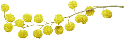 Flowers yellow bp - zdarma png