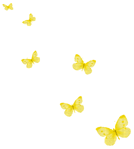 Animated.Butterflies.Yellow - By KittyKatLuv65 - GIF animado gratis
