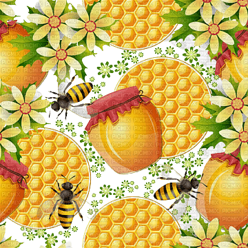 Honey Bee - Bogusia - 無料png