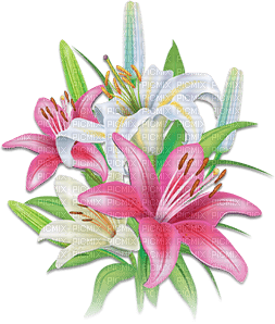 soave deco flowers spring lilies branch pink green - besplatni png