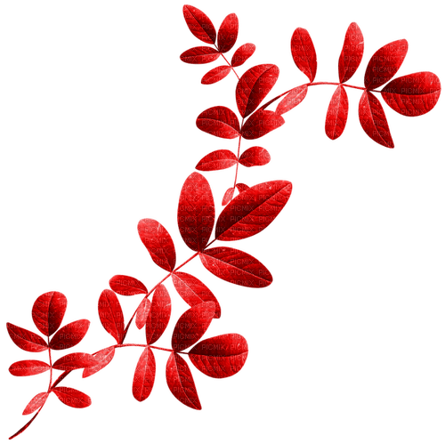 Branch.Leaves.Red - png ฟรี