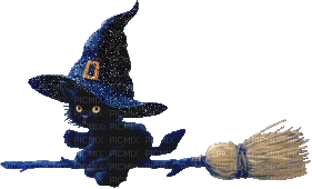 witch cat - Free animated GIF