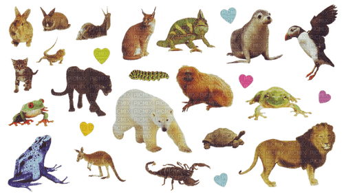 animal stickers - 免费PNG
