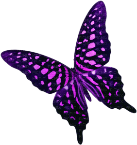 Kaz_Creations Purple Violet Deco  Butterflies Butterfly - png gratis