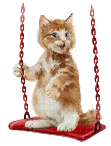 Gato en la hamaca - δωρεάν png