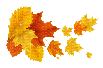 Kaz_Creations Autumn Fall Leaves Leafs - bezmaksas png