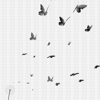 Volando entre interferencias - Безплатен анимиран GIF