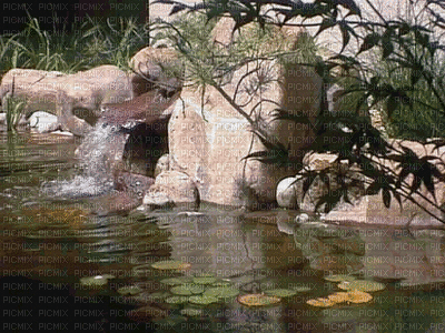 cachoeira - GIF animé gratuit