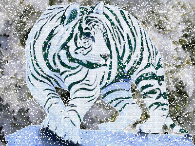 tigre sous la neige - Gratis animerad GIF