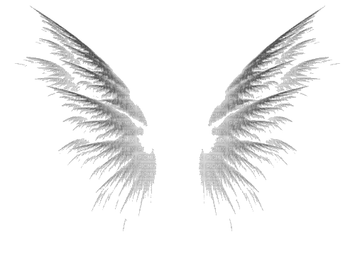 Flügel/Wings - Ilmainen animoitu GIF