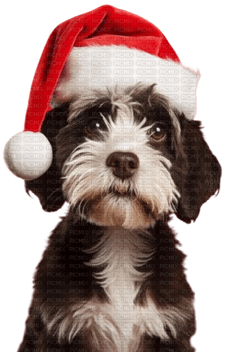 Christmas.Dog.Noël.Chien.Victoriabea - bezmaksas png