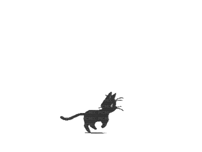 Cat - Ilmainen animoitu GIF
