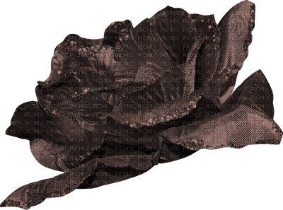 set Cacao-blomma-flower-minou52 - zdarma png